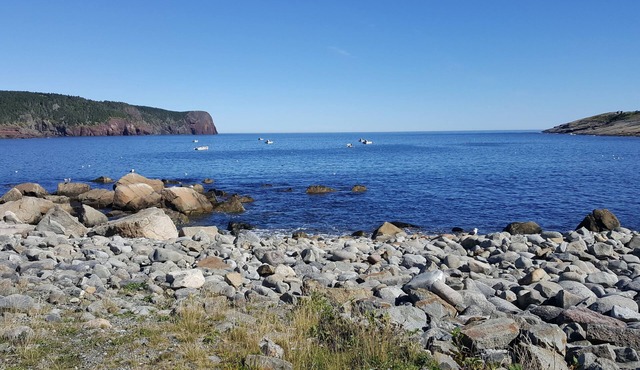 Magnificent Oceanfront Cottage in Flatrock- 12 minutes from St. John's (YYT) in Flatrock