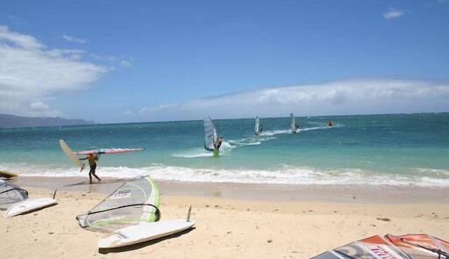 Maui Dream! 4 Units w/Garden Views, Minutes to Maui Nui Botanical Gardens!