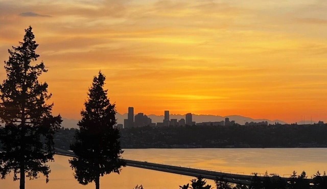 Mercer Island 1-bedroom plus sofa bed w/view of Seattle for World Cup getaway!