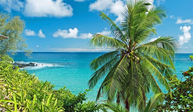 MKT 233B $299 Fall Special at Remodeled 3Bedroom Hawaiiana Guest House w Hot Tub