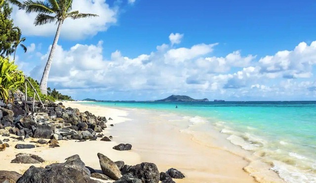 Moana Hale - Pool, Close to beach