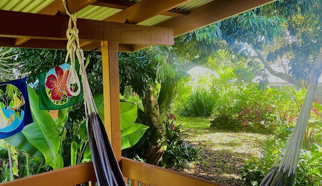 Modern Jungle Cottage