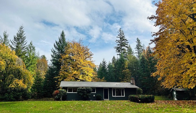 New listing! Cozy, Family-Friendly, 3-bedroom, minutes to downtown Packwood
