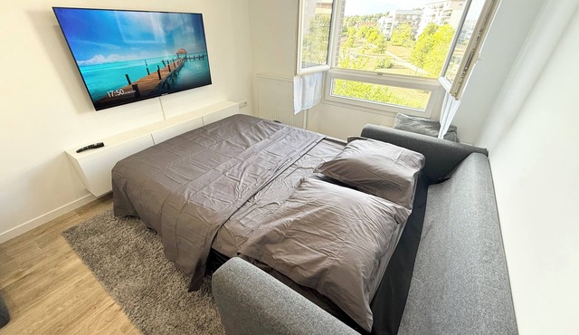 Newly refurbished 2-room apartment Parking, Wifi, washing machine and dryer. in Corbeil-Essonnes