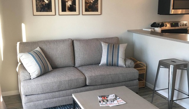 Newly Renovated In-Town Apartment - Close to everything!