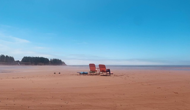 Oceanfront cottage. Steps to the beach, pet & family friendly. .