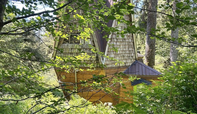 Organic-mod mid-century A-frame gem in pristine coastal forest setting