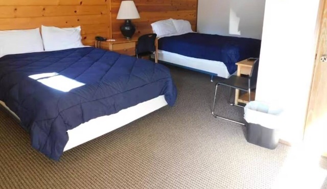 Pet-Friendly 2 Queen Suite w/Kitchenette near Packwood Timberland Library!