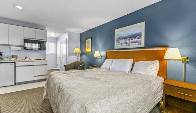 Pet Friendly Condo with King Bed and Kitchenette