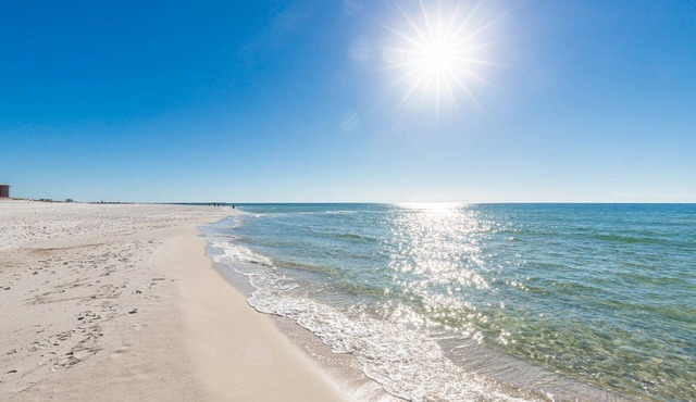 Phoenix Orange Beach Ii 2003 2 Bedroom Condo