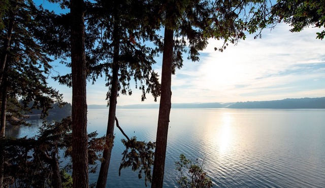 Private Beach Hood Canal, Sleeps 10, Olympic NP