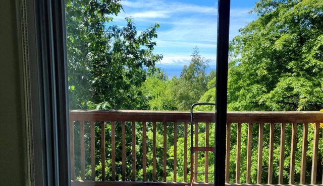rainforest suit with a king size bed Ocean views and 10 minutes to private beach