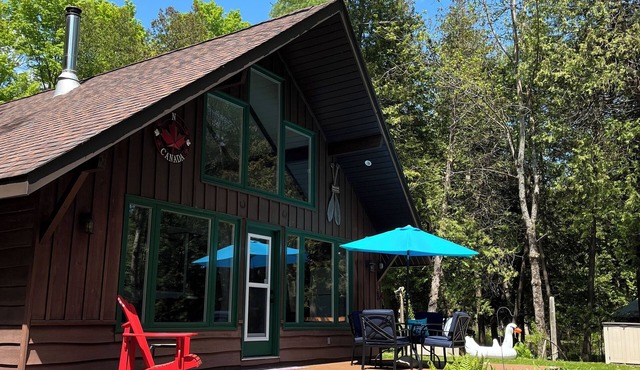 Reel Paradise in Minden