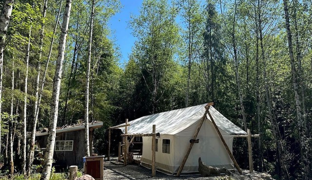 Relaxing Safari Tent for an Incredible Outdoor Glamping Getaway near Forks, Washington