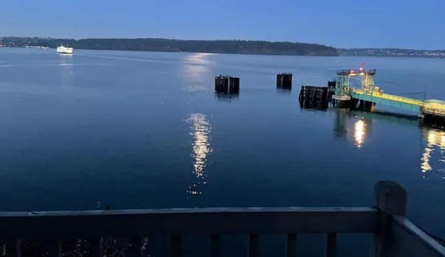Revitalizing Home on Vashon