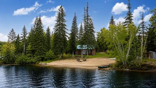 Rustic Waterfront Cabin with BBQ, Fire Pit and Views