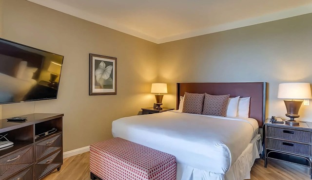 Seaside Luxury: Premier units w/Breathtaking Views and Kitchen. Onsite Pool!