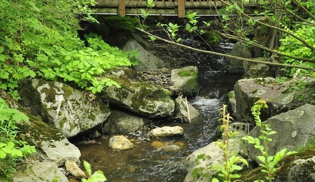 Stay Berkshires
