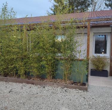 Studio L in Oyonnax