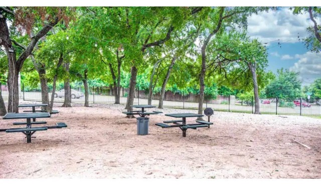 Studio Treehouse Zen Den ~ South Austin ~ Work-Pro Friendly