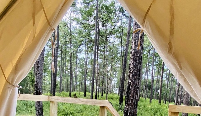 Tentrr State Park Site - Louisiana Bogue Chitto State Park - Gorge Trail N - Sin