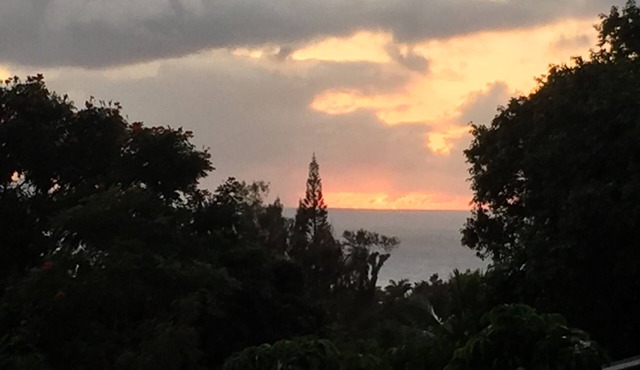 The Cottage - Ocean view - Welcome to Paradise (30days+)