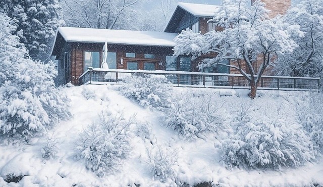 Themed MovieRm, Hot Tub,2Fireplaces, InFloorHeating, EZ Drive Aspen &hot springs