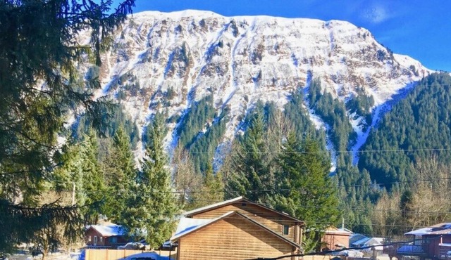 Trailhead Room - Near Mendenhall Glacier, Trails, and Conveniences - DISCOUNTS ON TOURS!