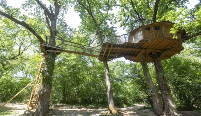 Tree-house Forest Camp 4p in Pierrefitte-sur-Sauldre