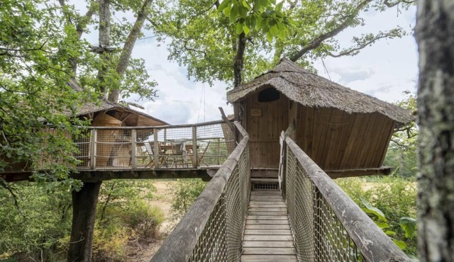 Tree-house Forest Camp 5/6p 2Bdrms in Pierrefitte-sur-Sauldre