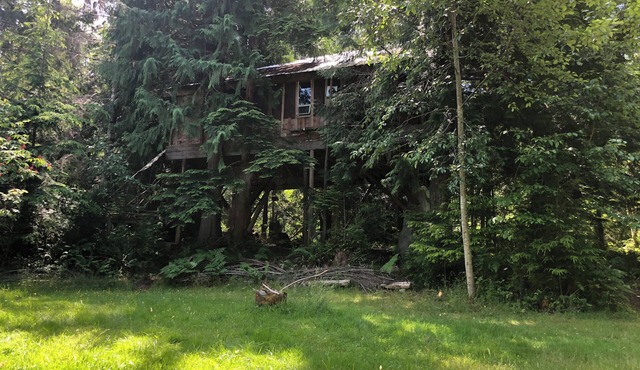Unique Cortes Treehouse! - Peaceful haven in the trees