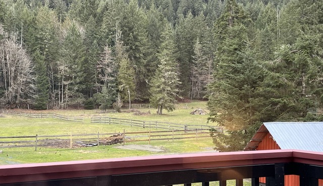 Warm, inviting updated 2 bdrm house in the forest-only minutes to town centre.