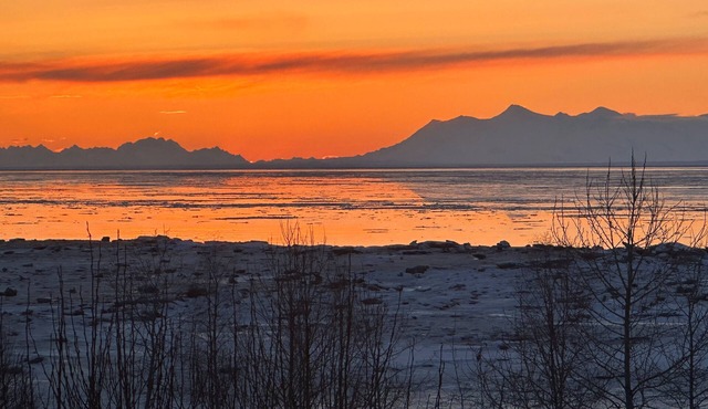 Waterfront View of Denali, Alaska Range & Ocean Views