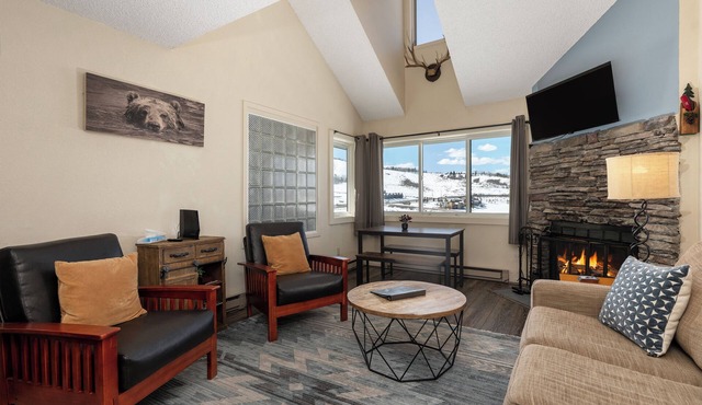 Wonderful 2 bedroom, pet friendly, ski-in/ski-out