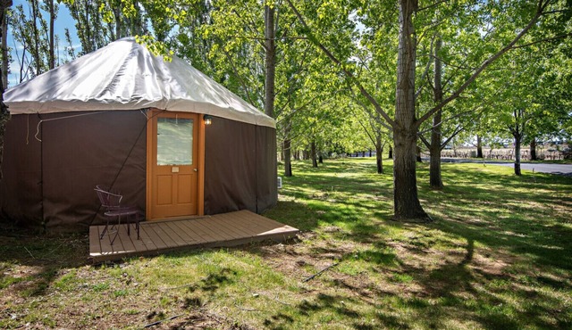 Yurt #10 - Glamping by the Gorge & Cave B
