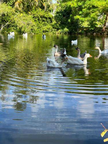Photo of Others in West Palm Beach