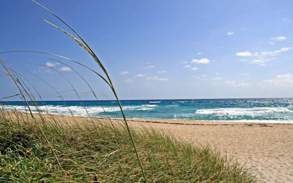 Photo of Others in Boynton Beach