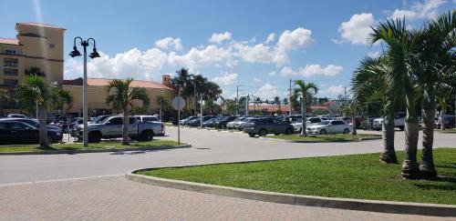 Photo of Others in Lantana