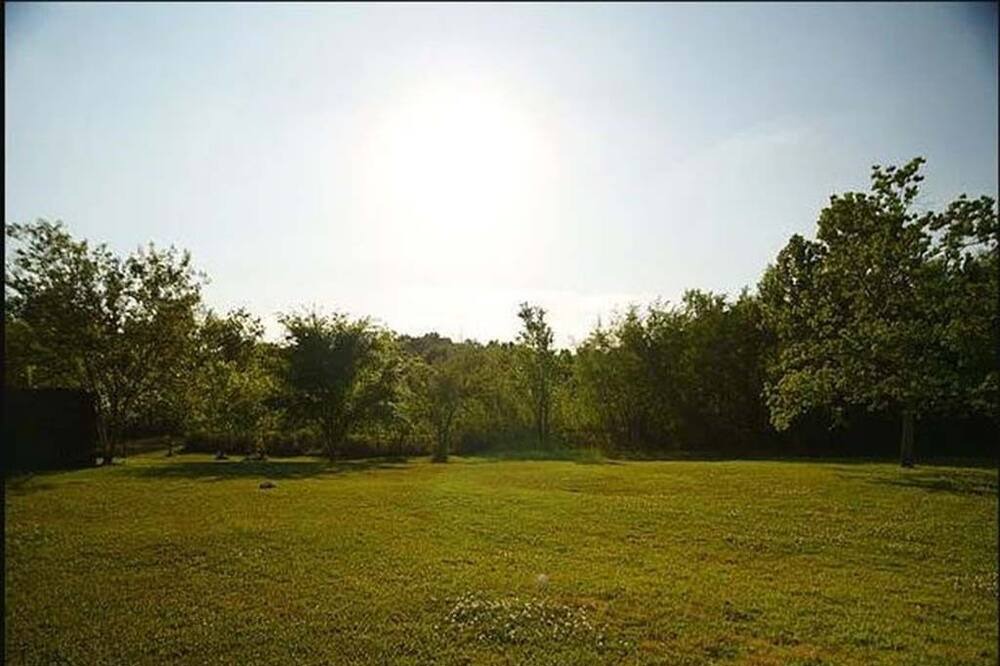 Photo of Others in Sunshine