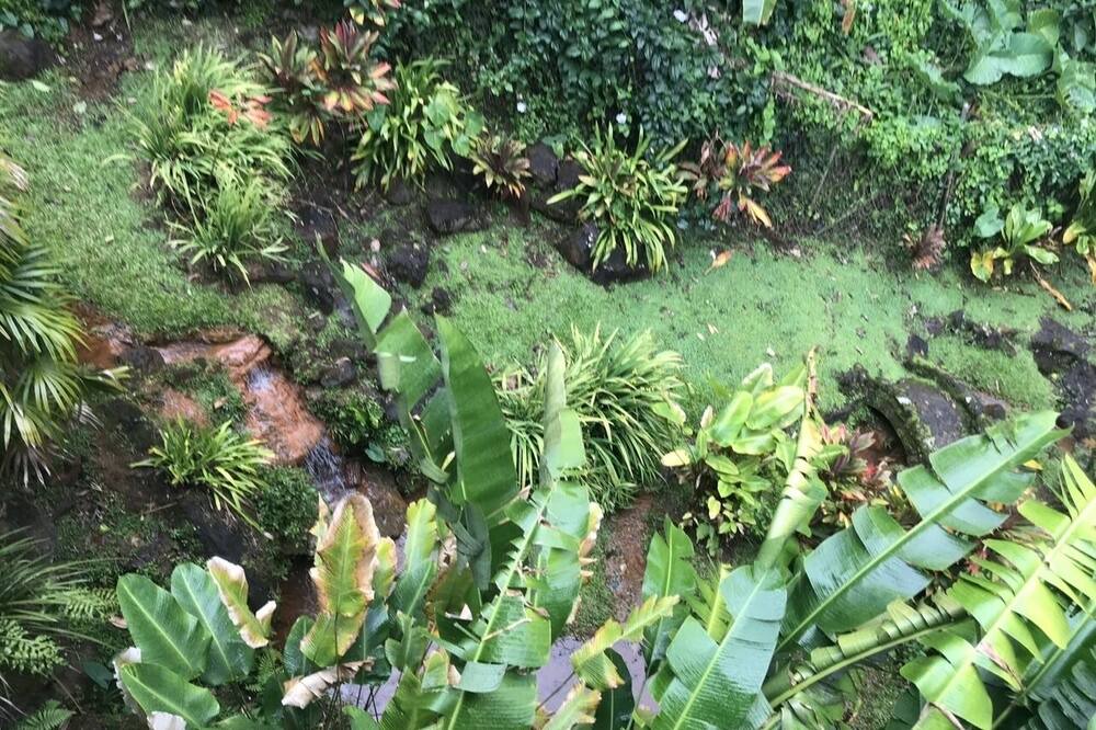 Photo of Outdoor in Nuuanu - Punchbowl