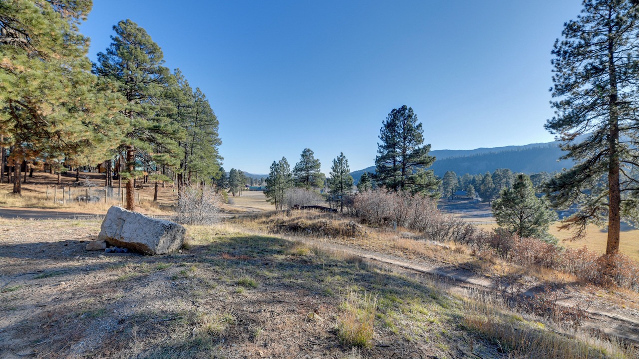 Photo of Outdoor in Forest Lakes