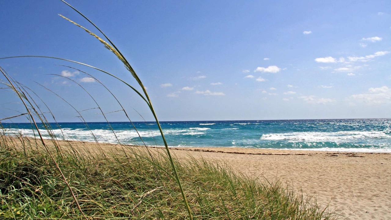 Photo of Outdoor in Boynton Beach