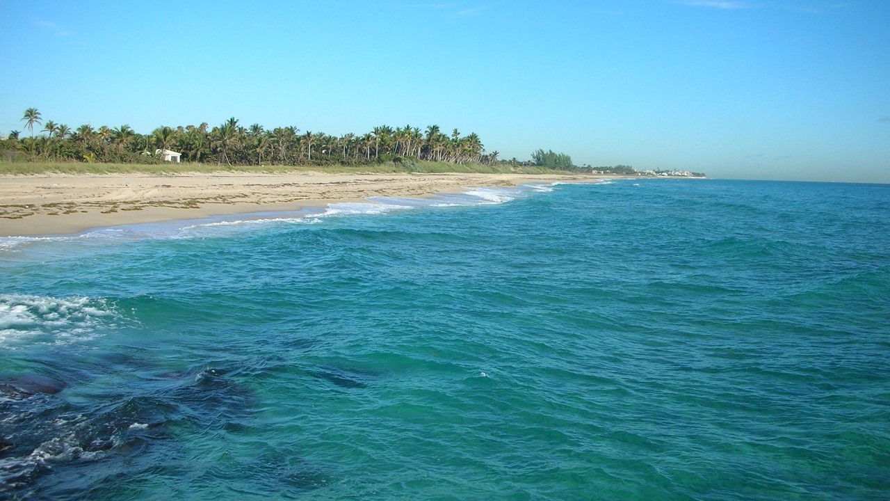 Photo of Others in Boynton Beach