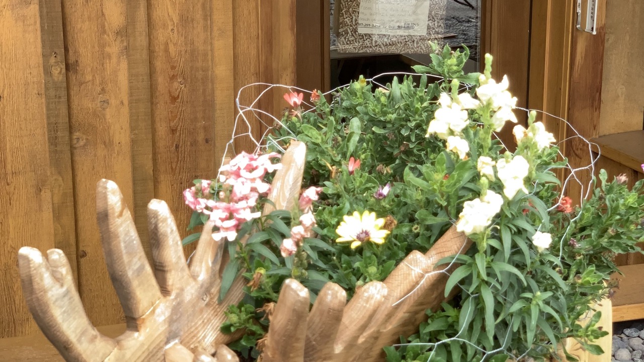 Photo of Outdoor in Copper Center