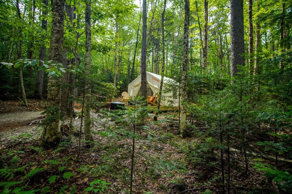 Photo of Others in Rangeley Plantation