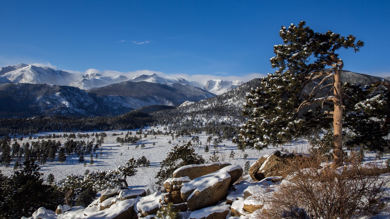 Photo of Others in Estes Park