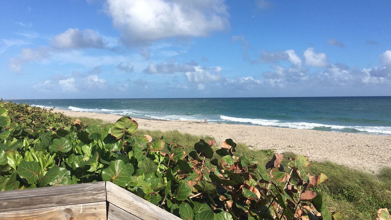 Photo of Others in Juno Beach