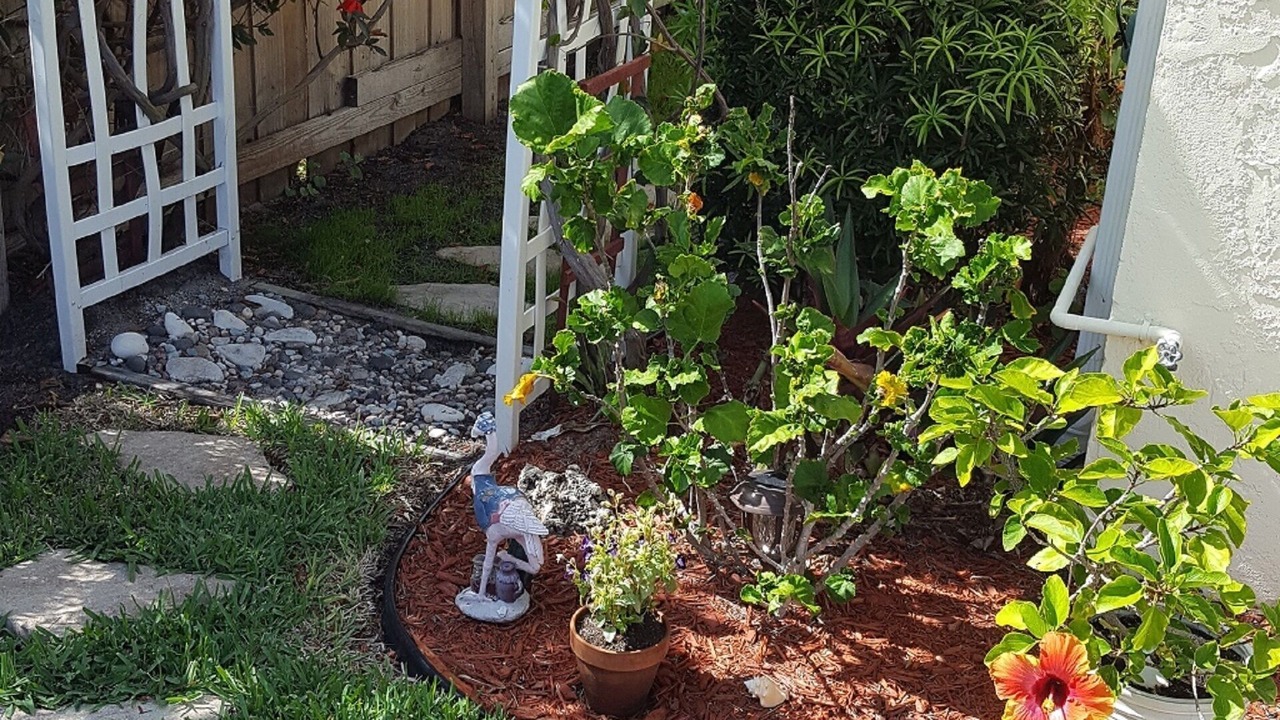 Photo of Outdoor in Boynton Beach