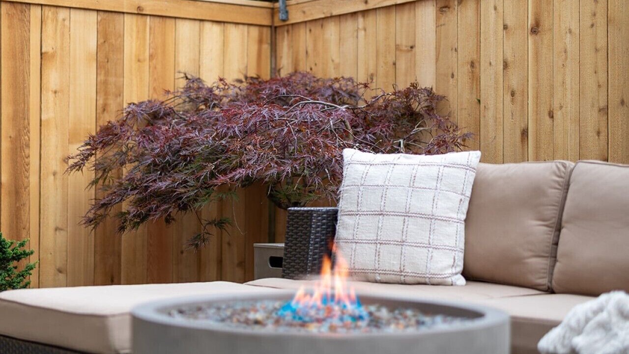 Photo of Outdoor in Old Ballard