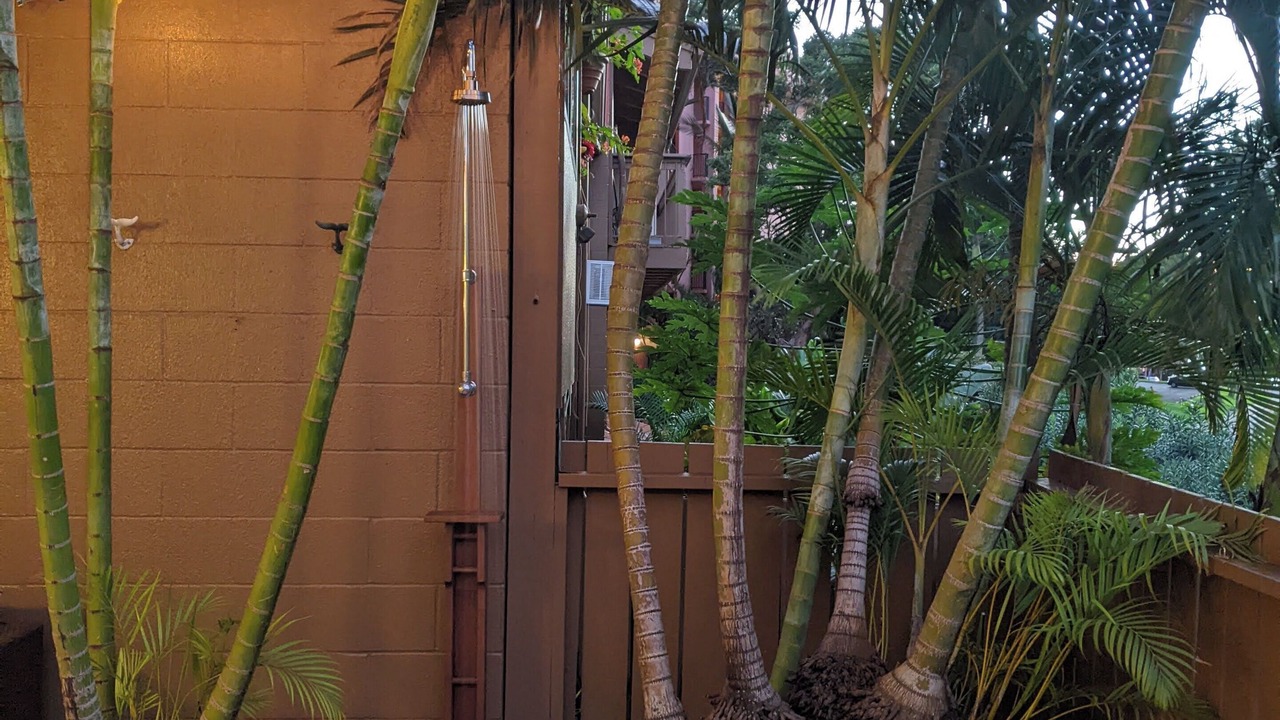 Photo of Outdoor in Kahana